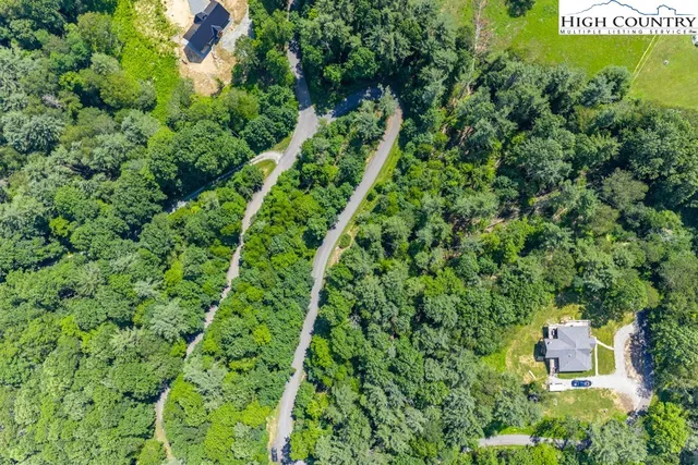 a view of a garden with an tree