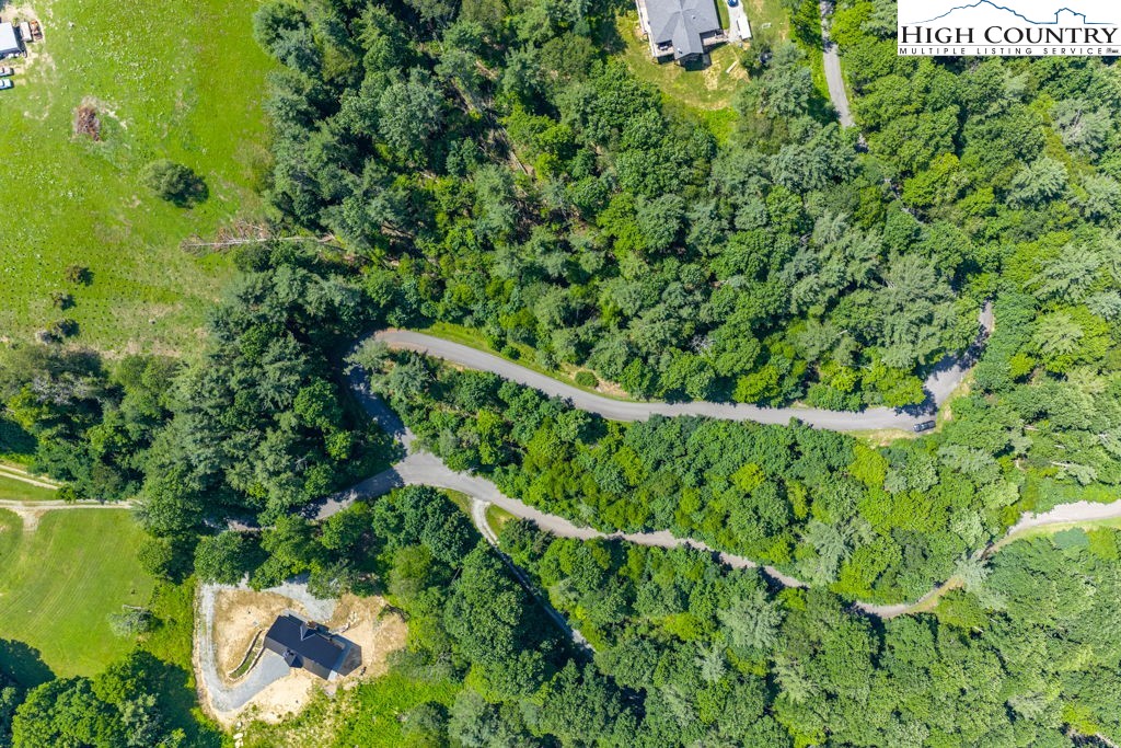 Bennick Place Sugar Grove, NC 28679 - Photo 14 of 18 a view of a garden with an tree