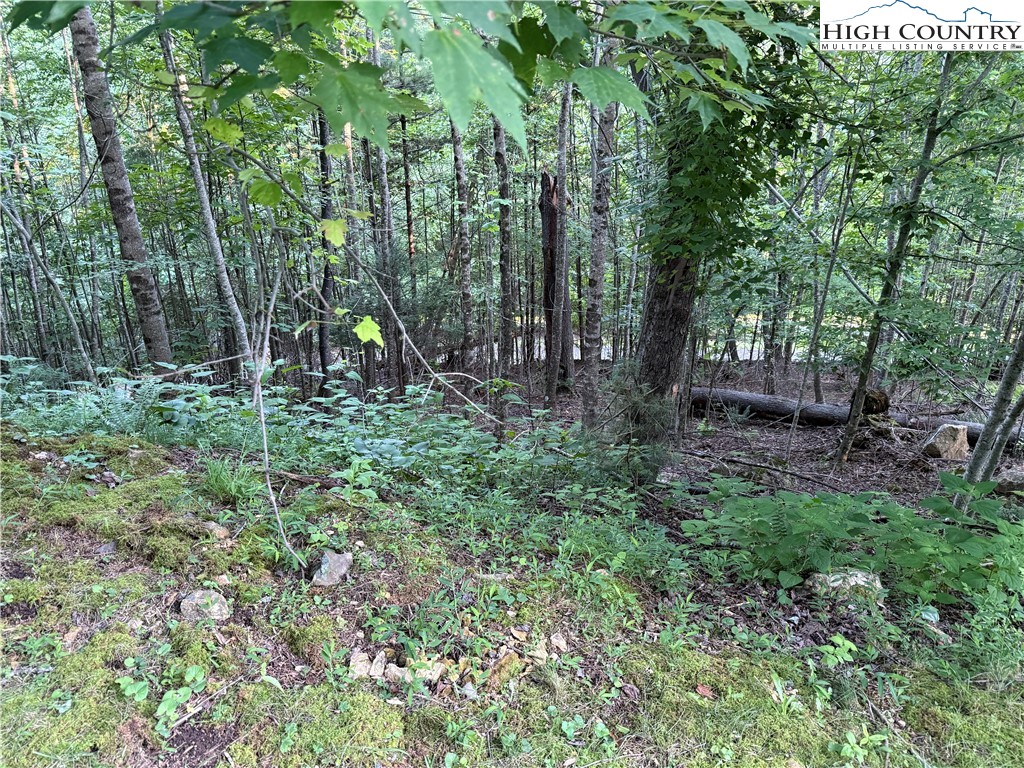 Bennick Place Sugar Grove, NC 28679 - Photo 2 of 18 a backyard of a house with lots of green space and forest