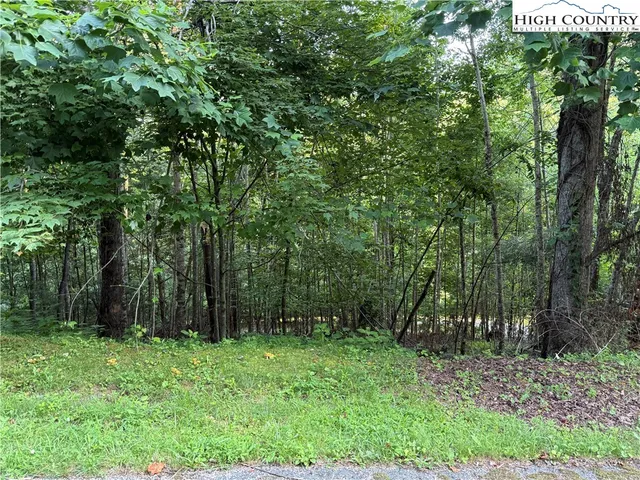 a view of backyard with green space