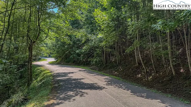 a view of an outdoor space with trees