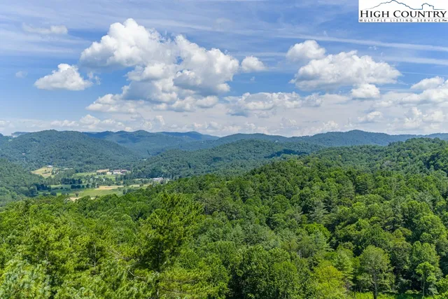 a view of a lot of trees in a field