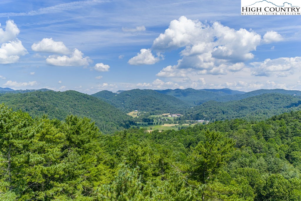Bennick Place Sugar Grove, NC 28679 - Photo 9 of 18 a view of a bunch of trees in the yard