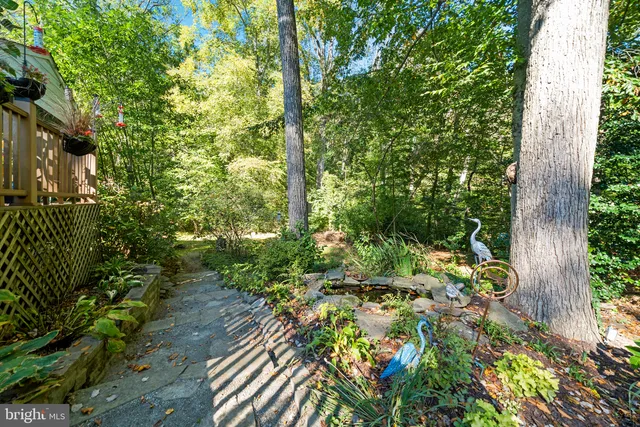 a view of a yard with plants and large trees