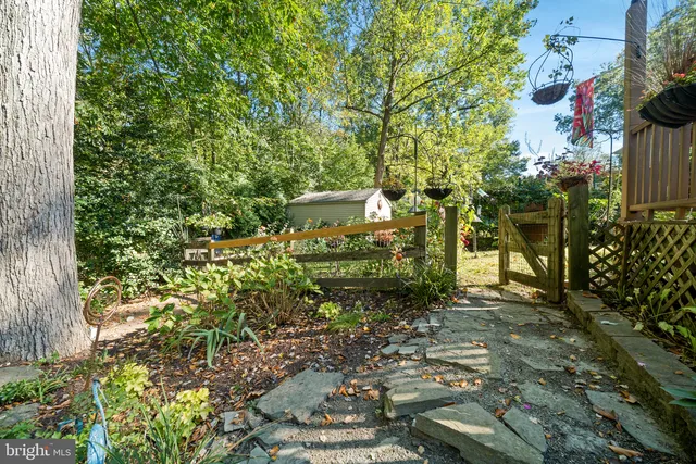 a view of a yard with plants and a bench