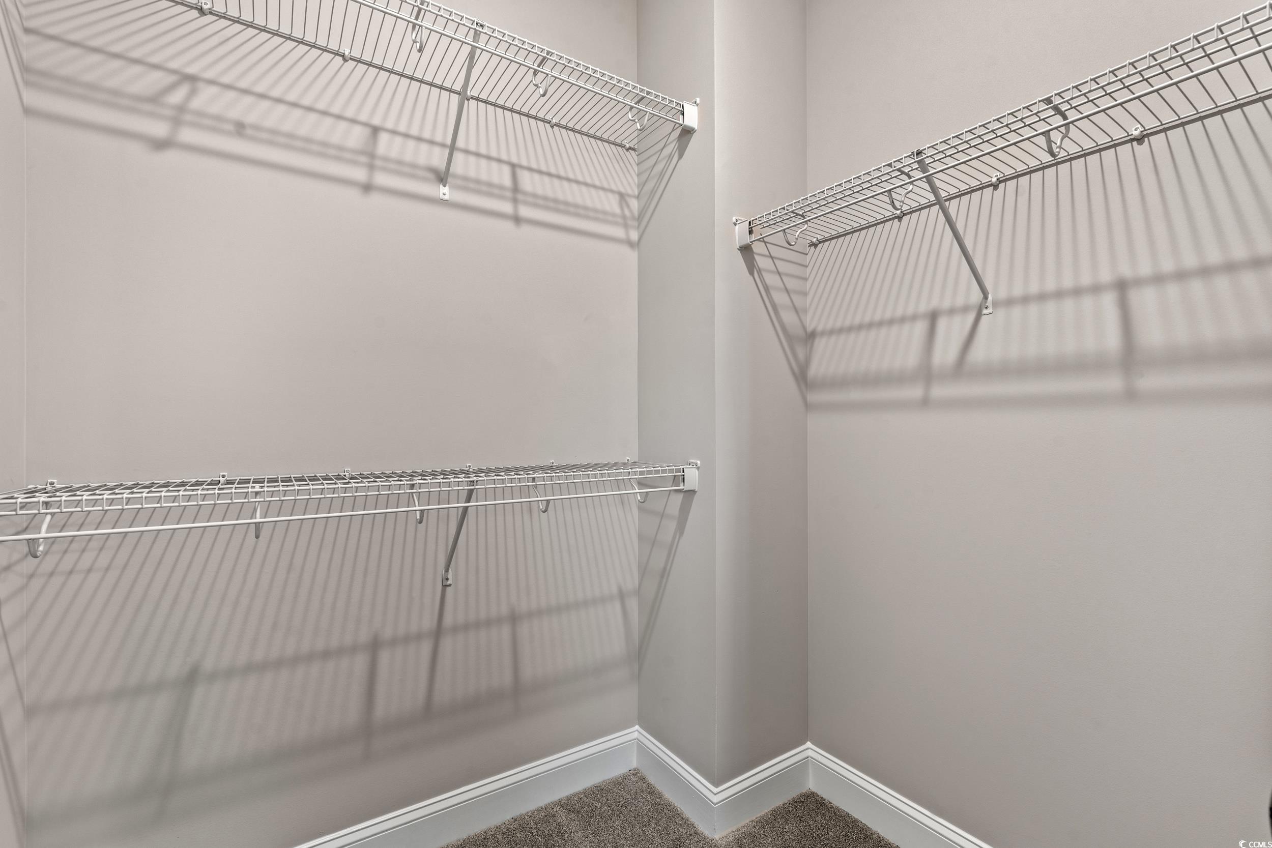 344 Kiskadee Loop, Unit B Conway, SC 29526 - Photo 20 of 32 Walk in closet featuring carpet flooring