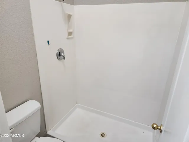 a bathroom with a shower and toilet