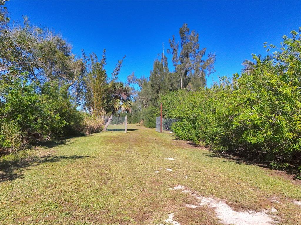 29530 Shell Creek Court Punta Gorda, FL 33982 - Photo 16 of 19 a view of a yard with a tree