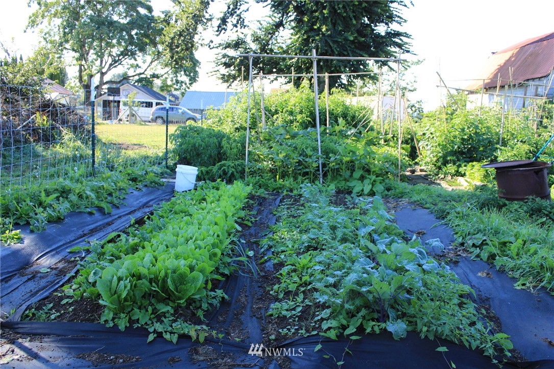 8263 Nooksack Road Everson, WA 98247 - Photo 18 of 36 a view of a garden with plants and large trees