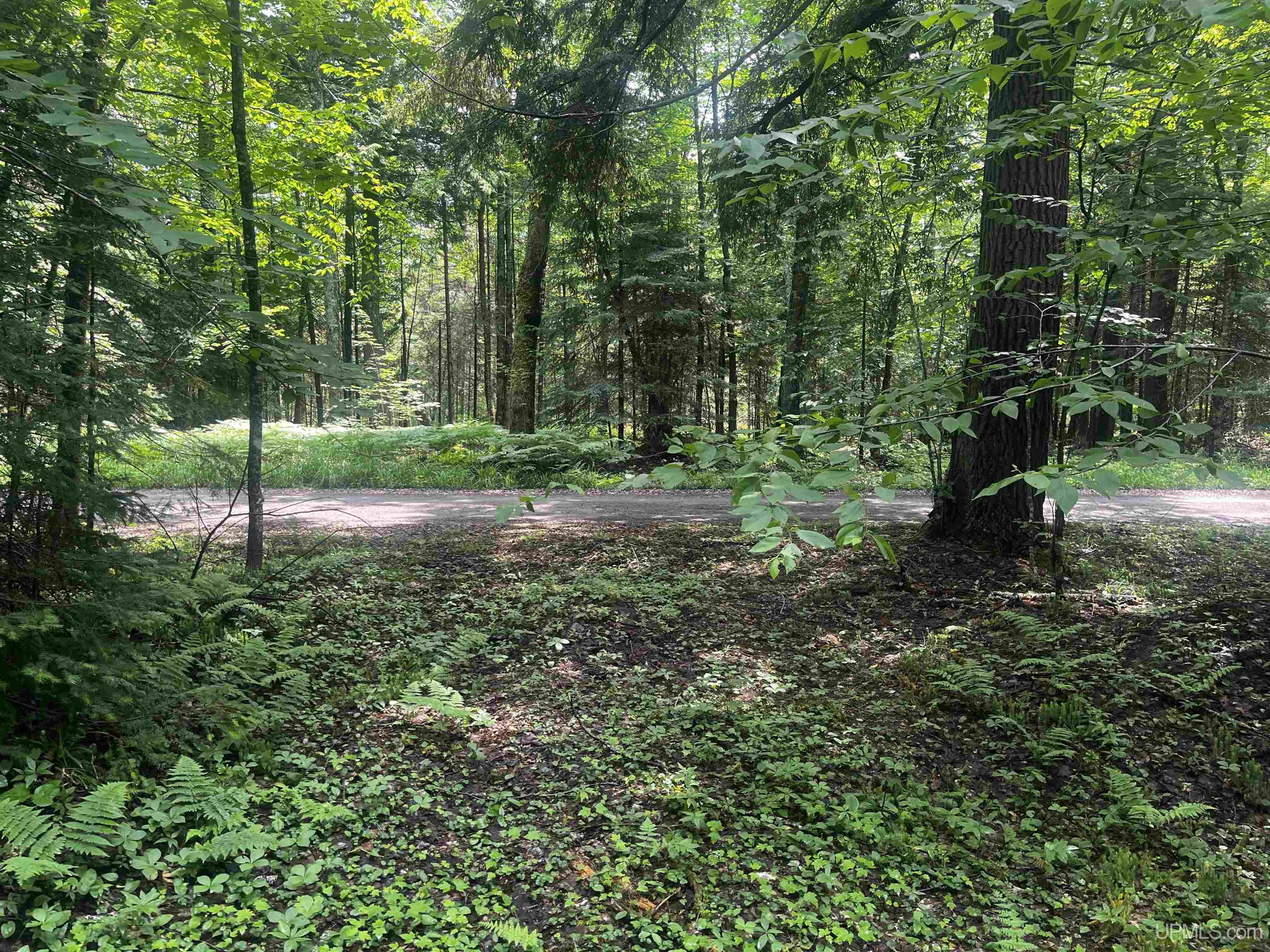 Parcel 1 Grant Lake Road Republic, MI 49879 - Photo 11 of 23