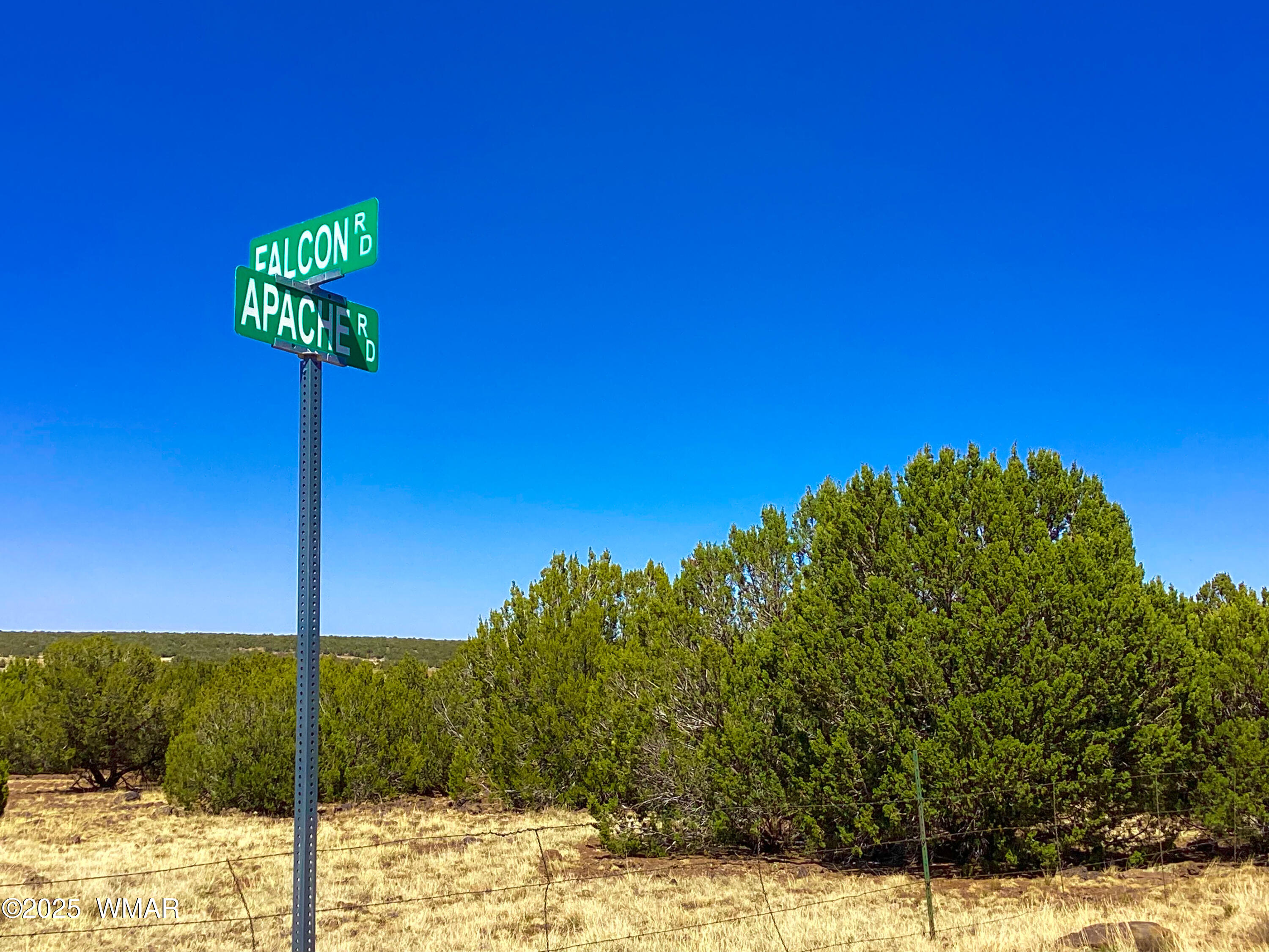 1528 Falcon Road Show Low, AZ 85901 - Photo 2 of 10 IMG_0911
