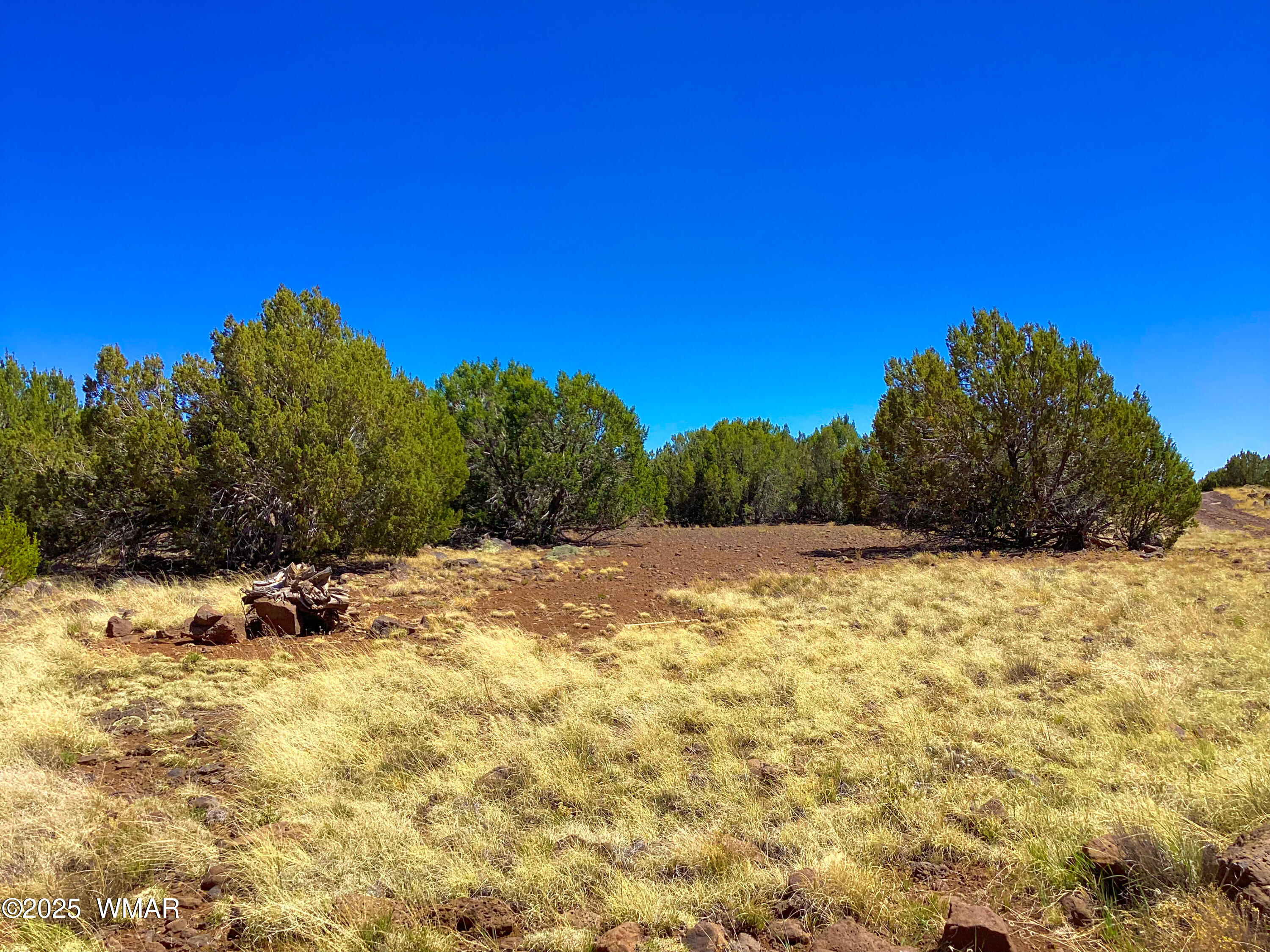 1528 Falcon Road Show Low, AZ 85901 - Photo 5 of 10 IMG_0908