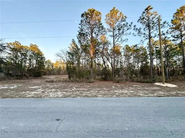 a view of dirt yard with a large tree