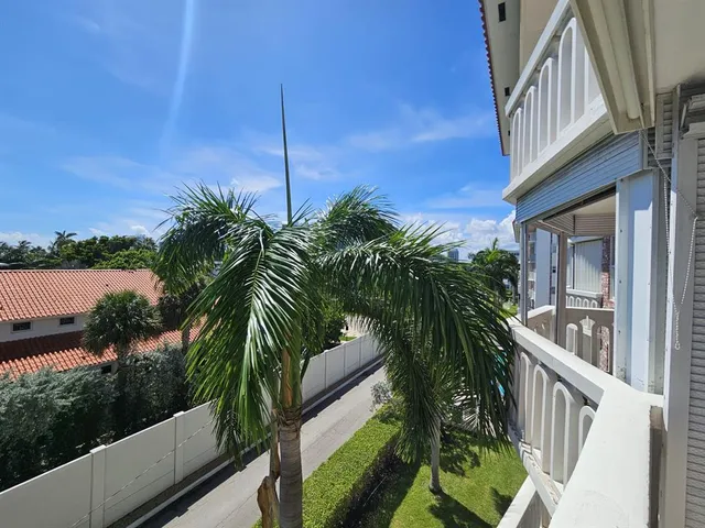 a view of balcony with a palm tree