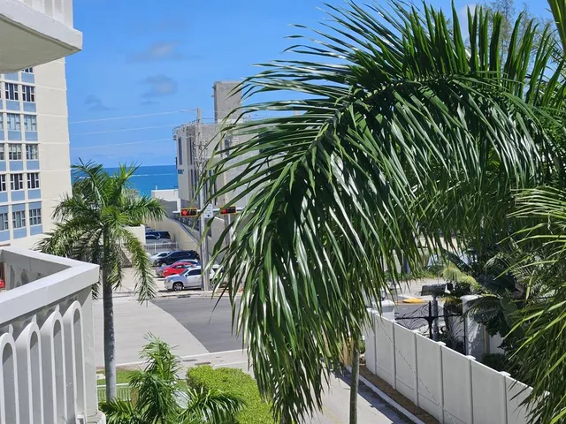 a view of a palm plant that is in front of a house