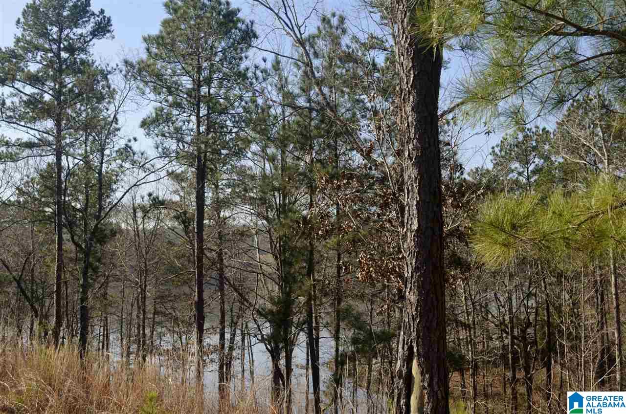 Stillwaters Trail, Unit 179 Sylacauga, AL 35151 - Photo 13 of 20