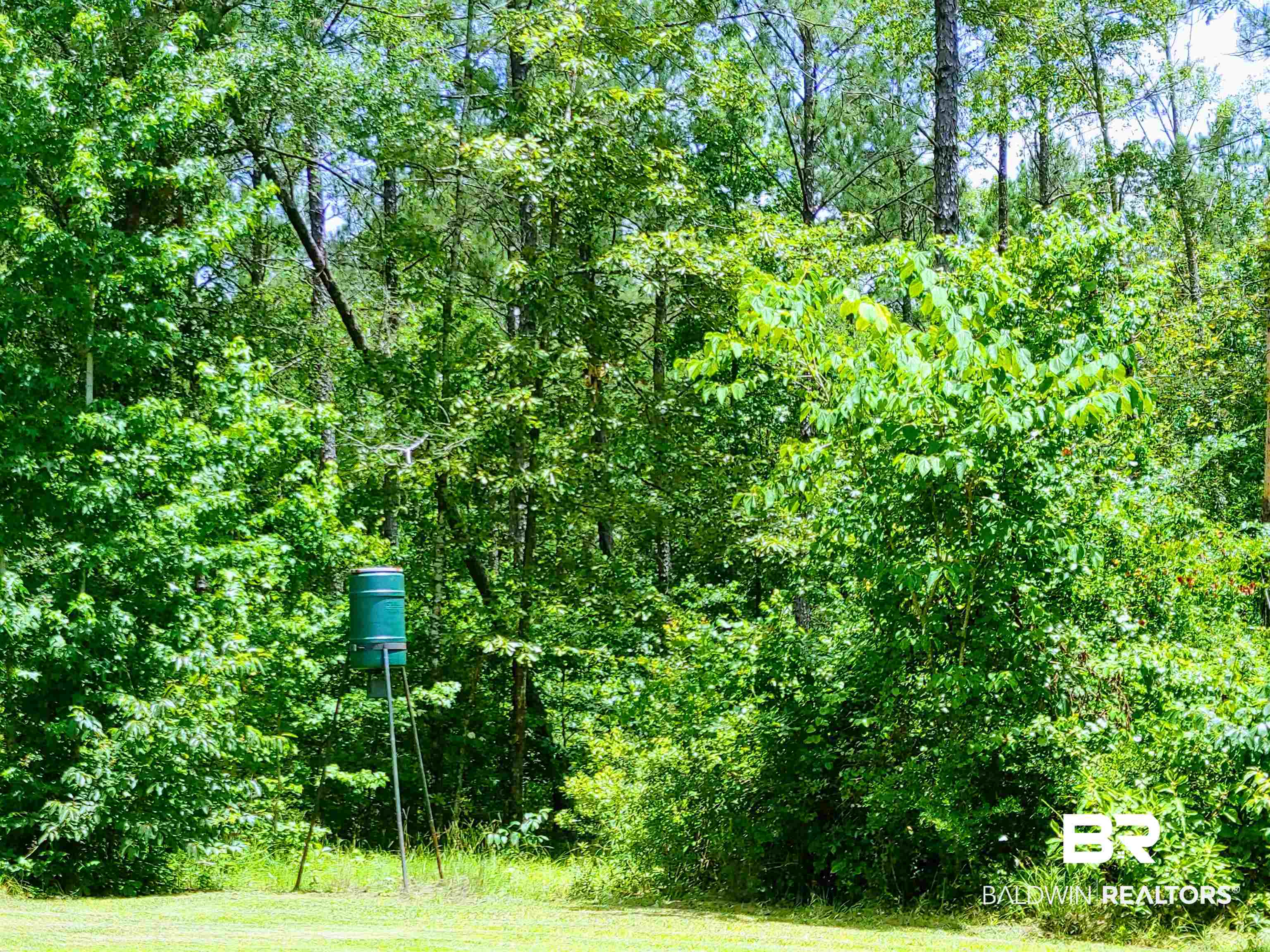 48 Highway 17 Millry, AL 36558 - Photo 50 of 50
