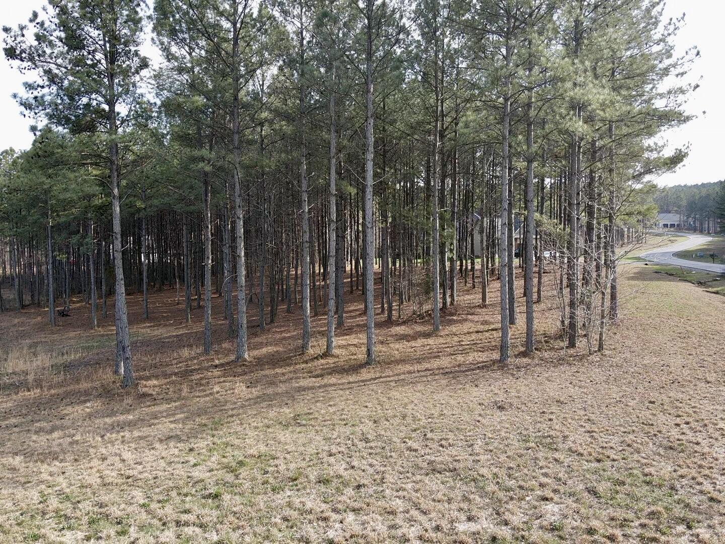 179 High Point Lane Jasper, TN 37347 - Photo 8 of 91 2024-03-21-16-11-44-146