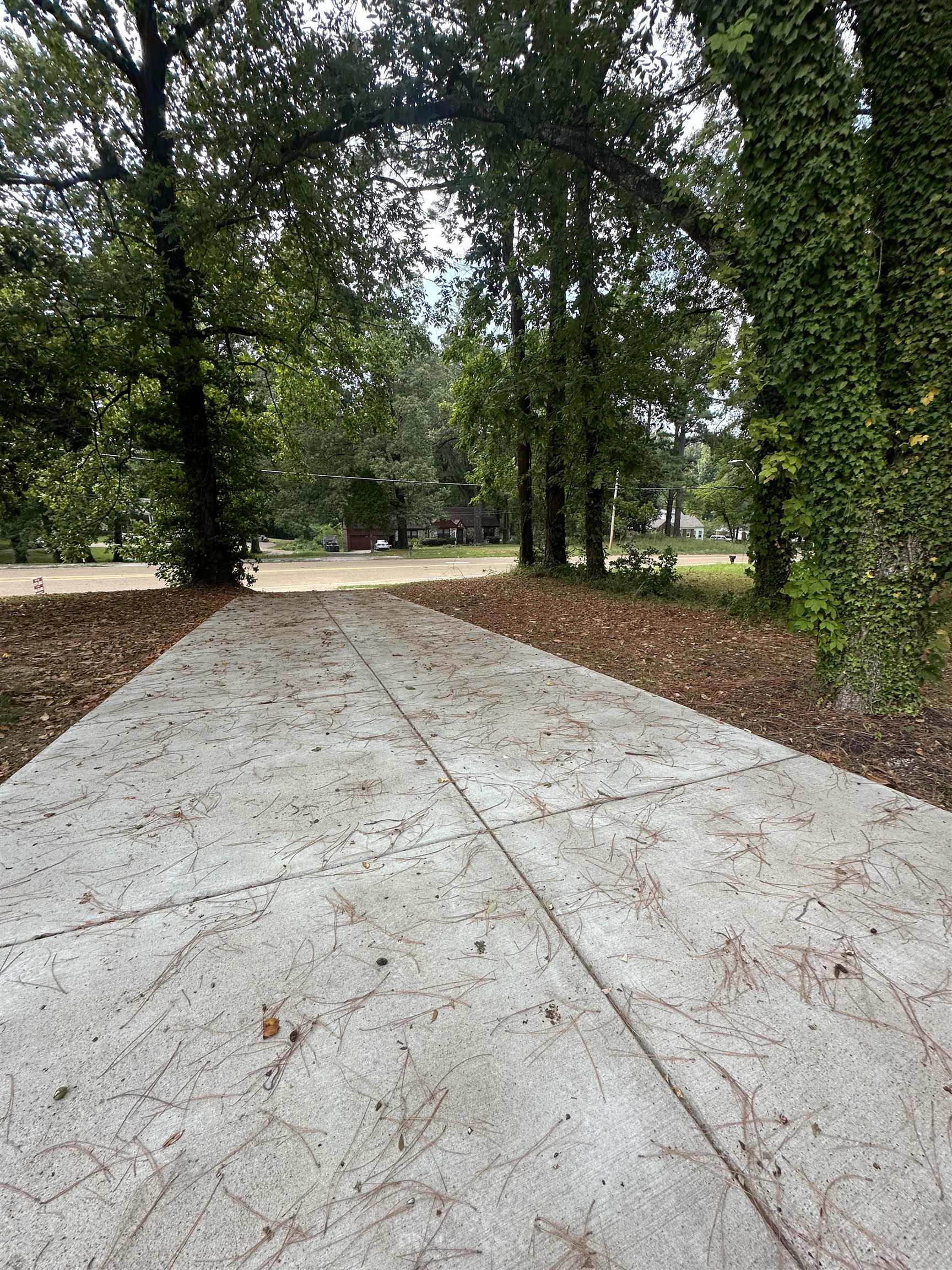 3402 Lakeview Road Memphis, TN 38116 - Photo 16 of 30 View of patio