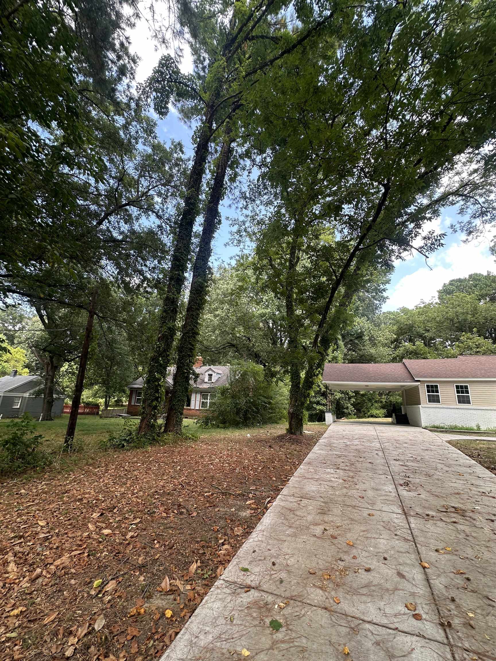 3402 Lakeview Road Memphis, TN 38116 - Photo 17 of 30 View of yard with concrete driveway