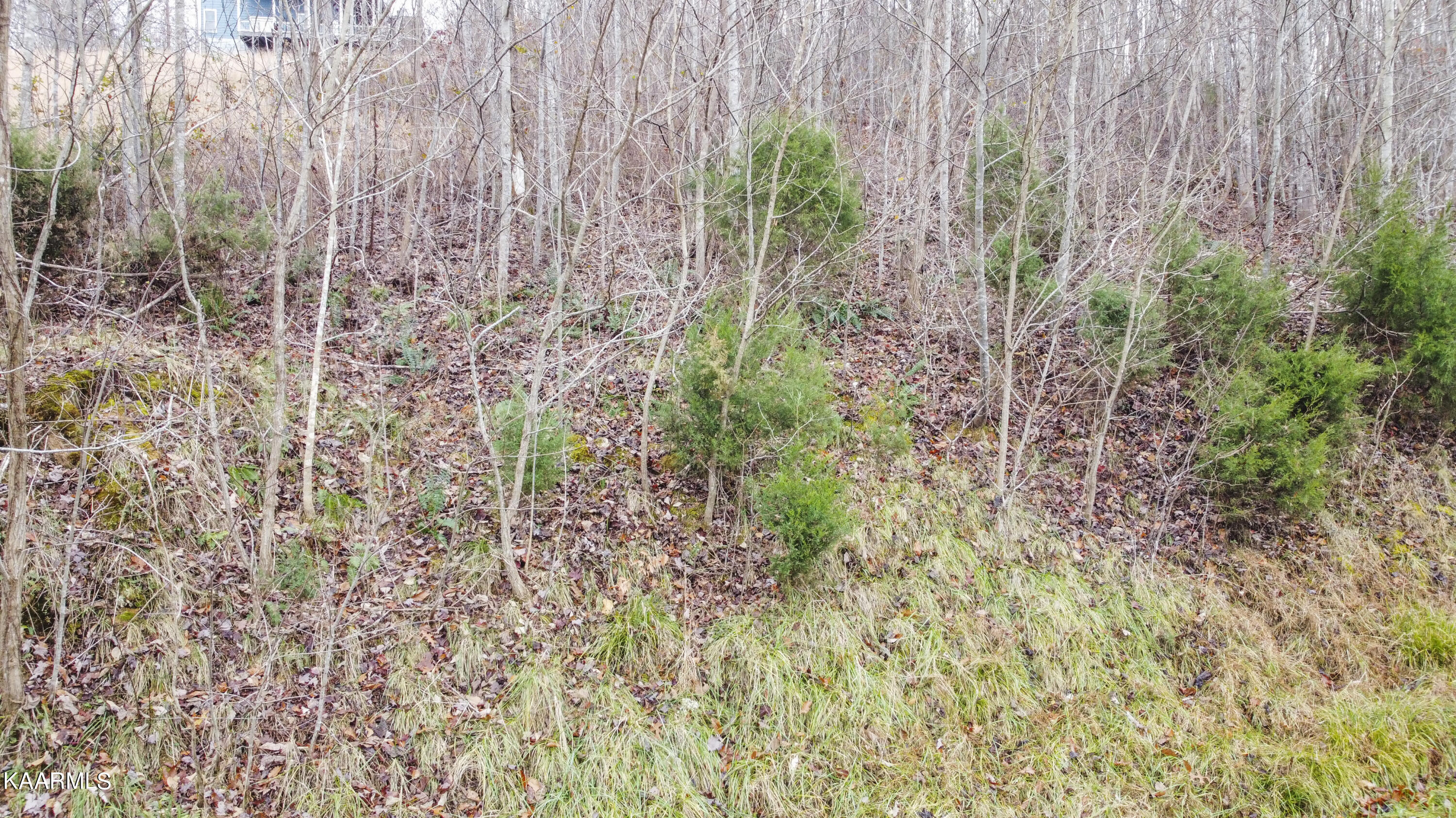 Sunset Boulevard Maynardville, TN 37807 - Photo 7 of 11 7