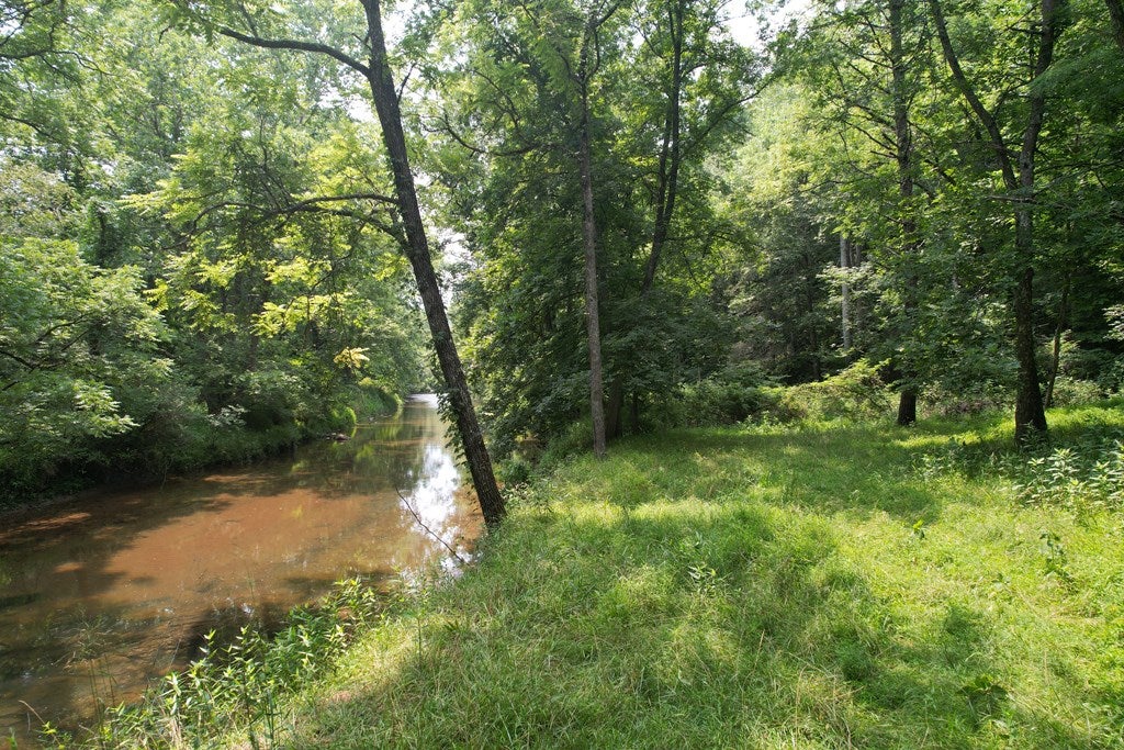 Tbd Hall Hollow Road Austinville, VA 24312 - Photo 41 of 59 Gallery Image 41