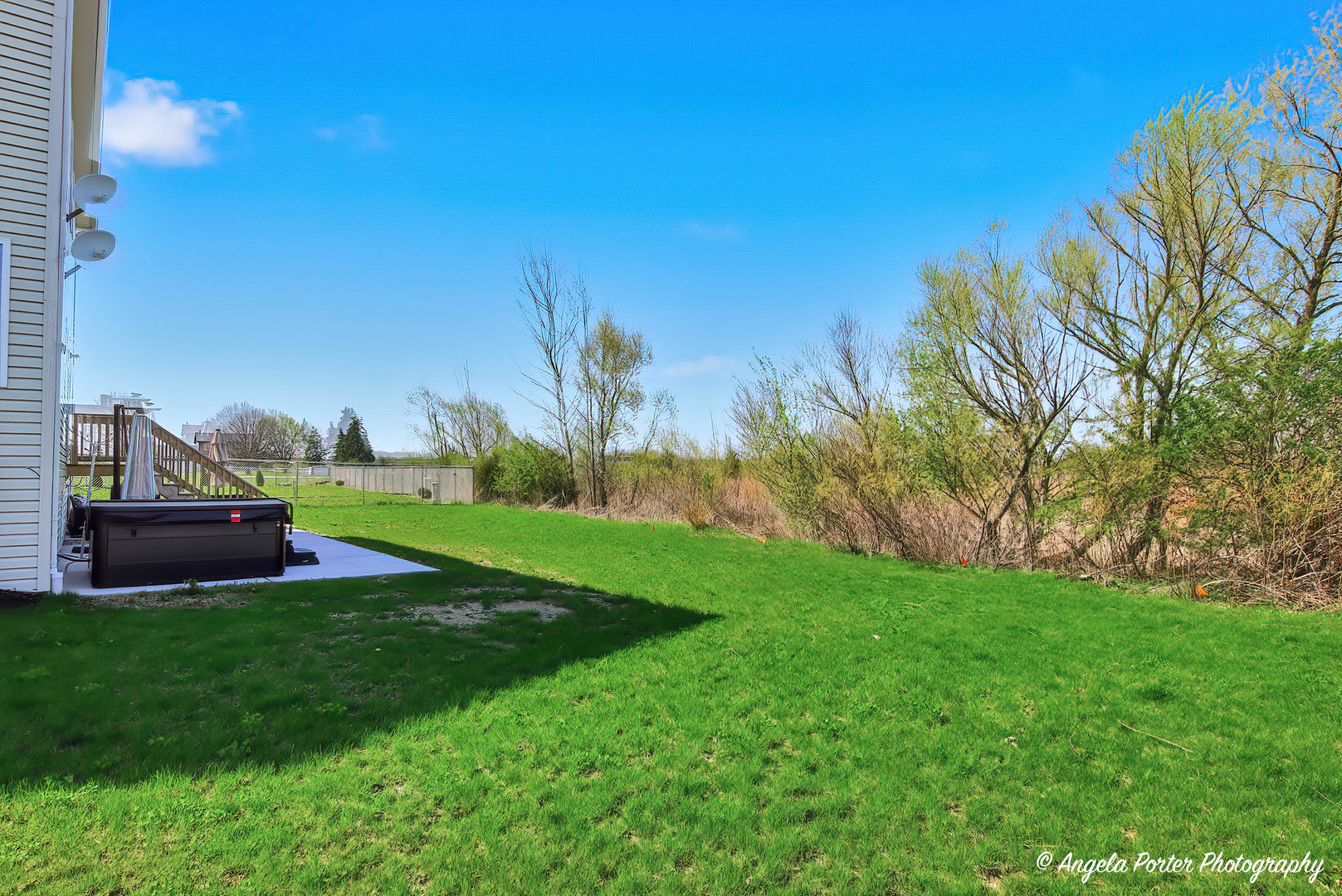 7443 Alexandra Lane Union, IL 60180 - Photo 35 of 39 a view of a garden with plants and large trees