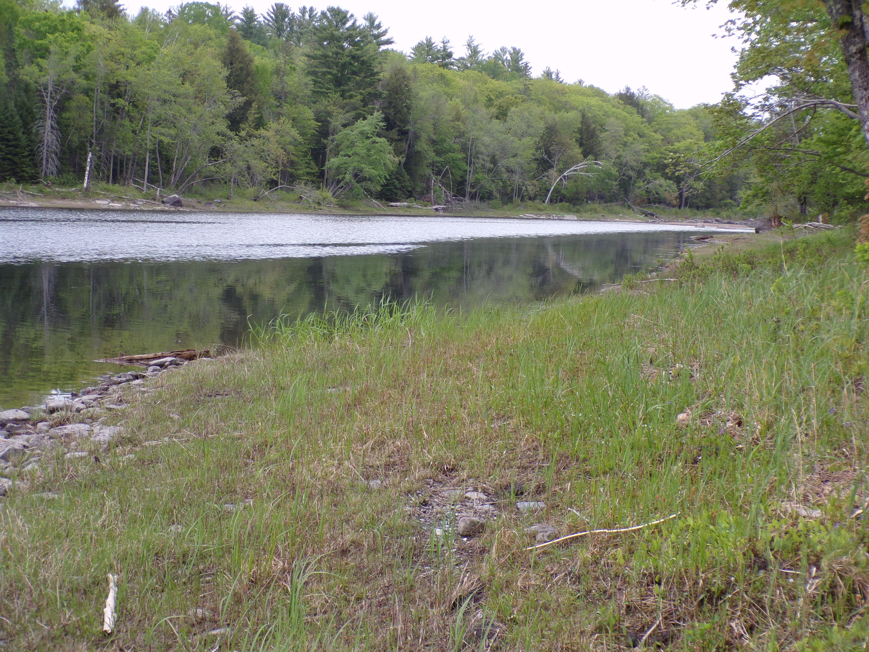 0 Town Farm Road Sebec, ME 04481 - Photo 3 of 15 101_0080 (1)
