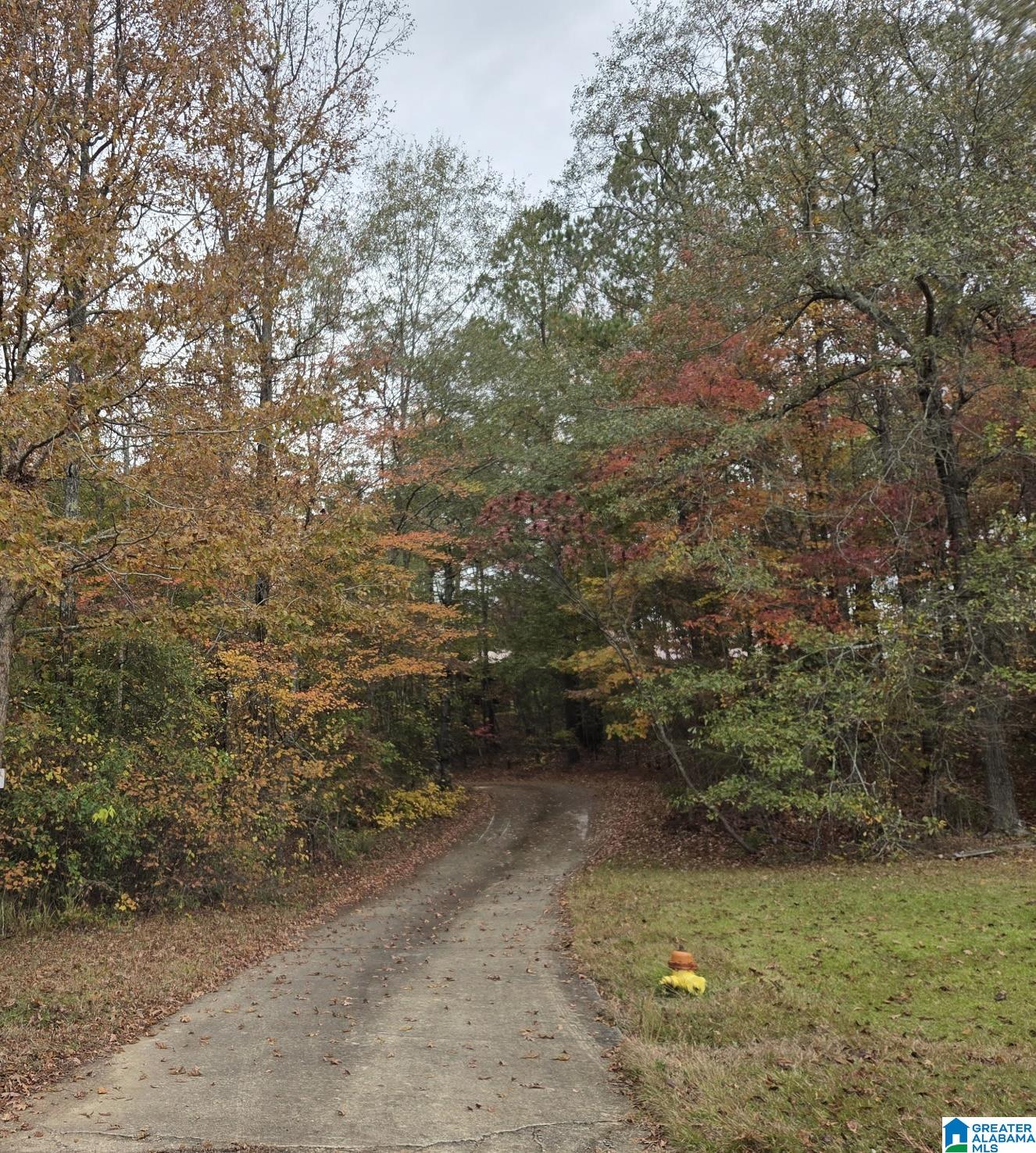 830 Turkey Ridge Road Ragland, AL 35131 - Photo 48 of 50