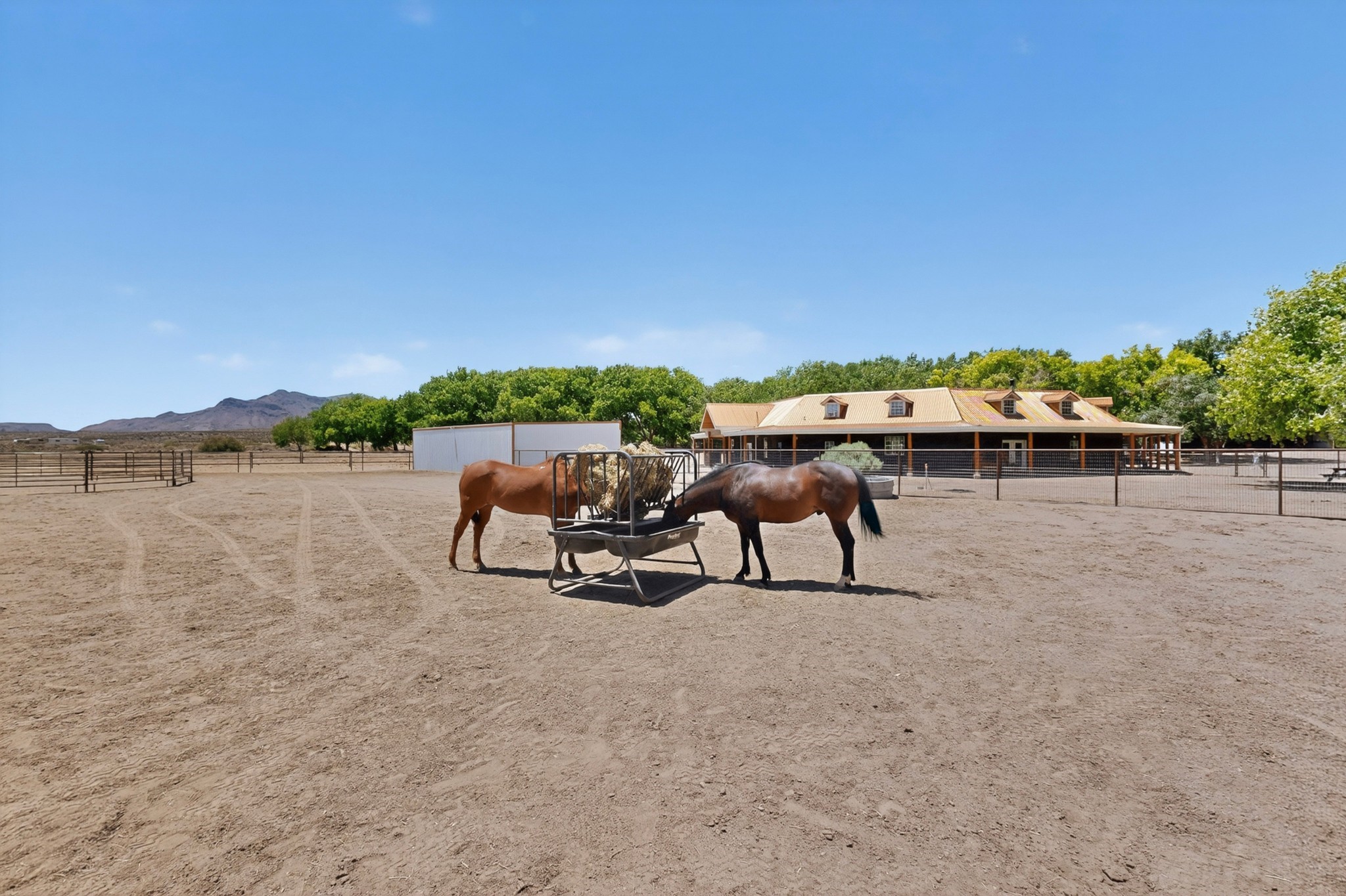 26 Schmittle Road Socorro, NM 87801 - Photo 6 of 80 Horse dry lot near the front of the house