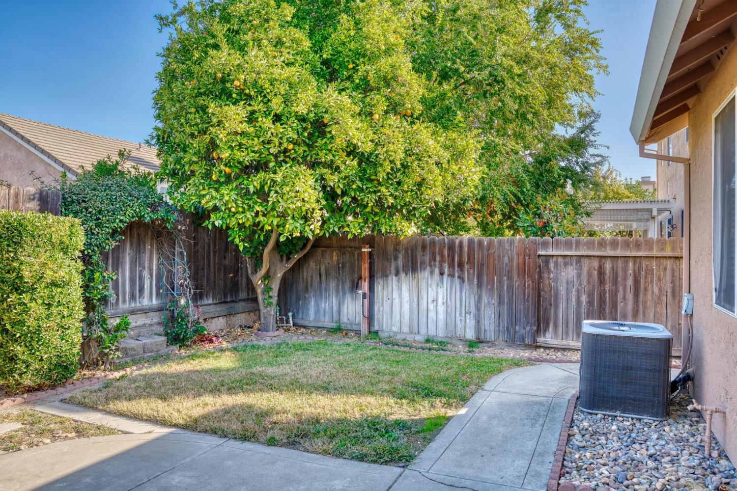 1833 Rail Street Manteca, CA 95337 - Photo 33 of 40 a house view with a backyard space