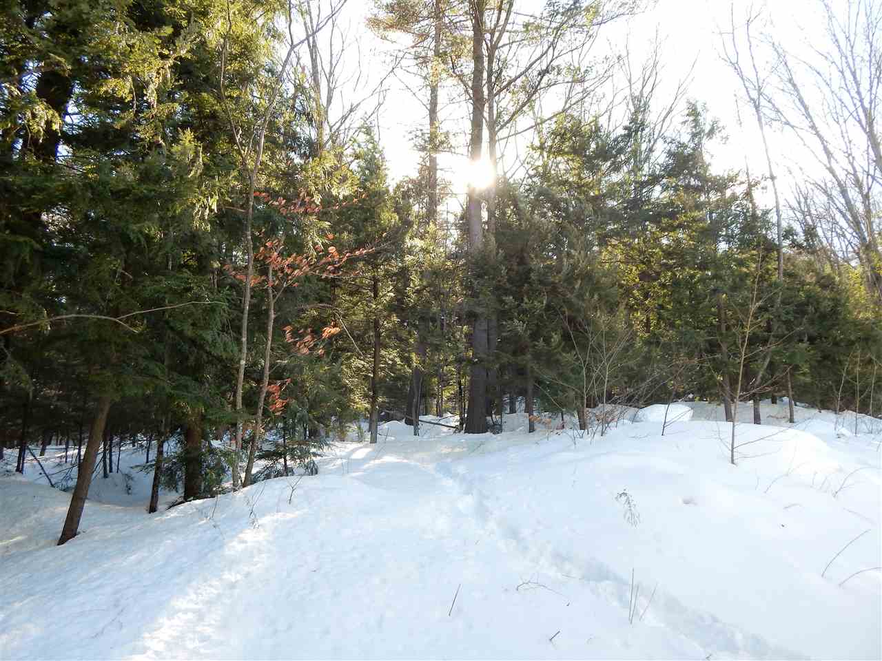 337 Mt Support Road, Unit 503 Lebanon, NH 03766 - Photo 21 of 28