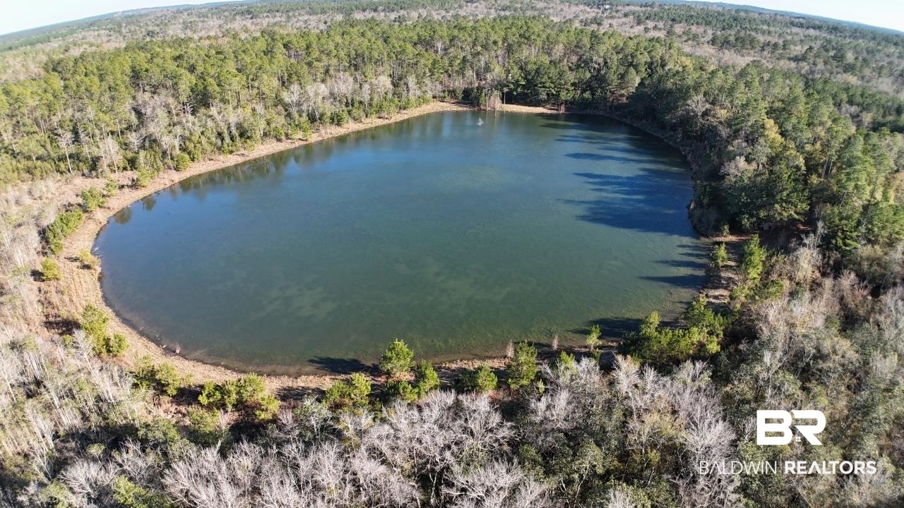 11808 Abb Road Tibbie, AL 36583 - Photo 16 of 31 Drone / aerial view with a forest view and a water view