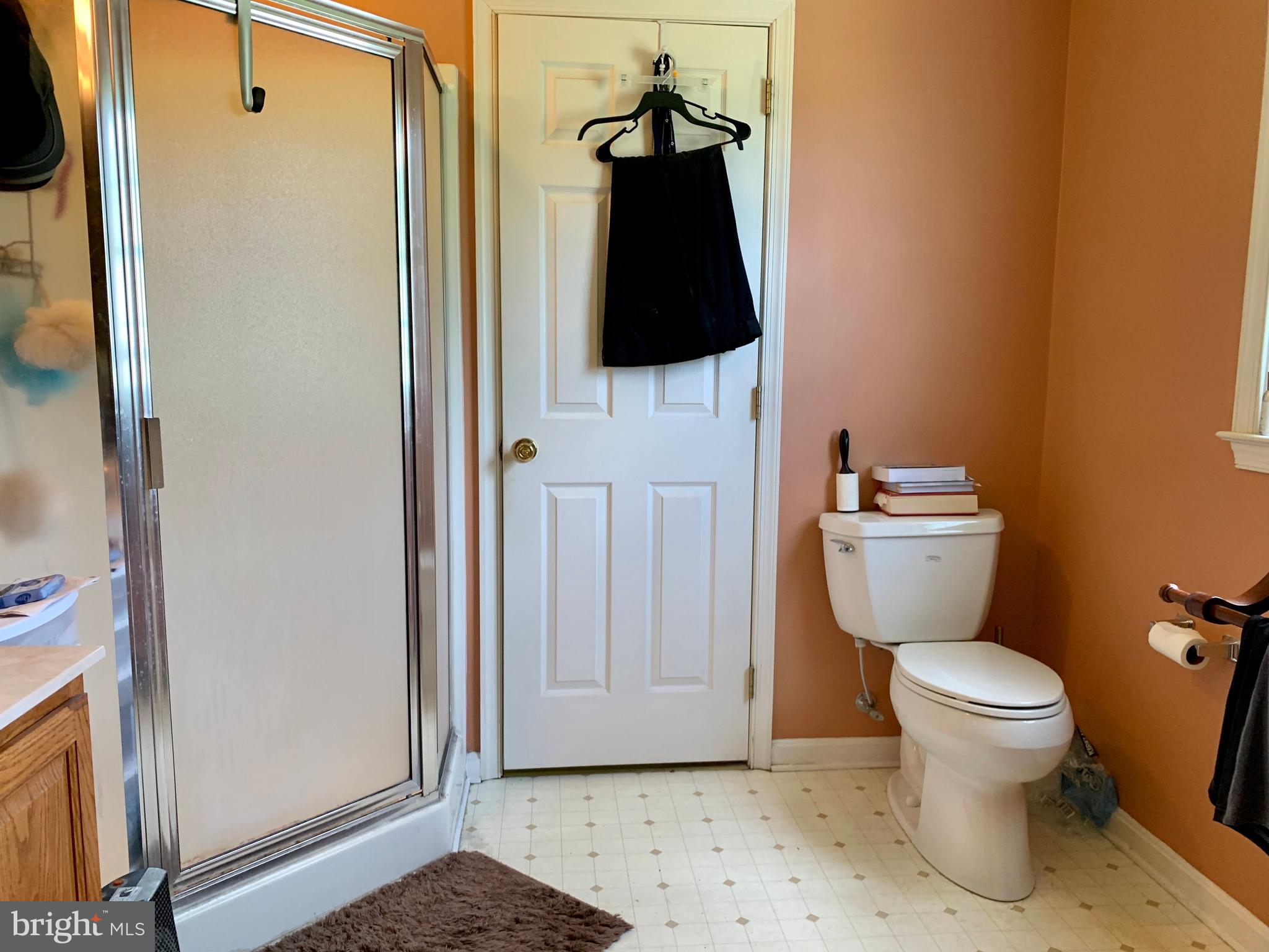 11522 Holly Road Ridgely, MD 21660 - Photo 21 of 40 Master Bathroom