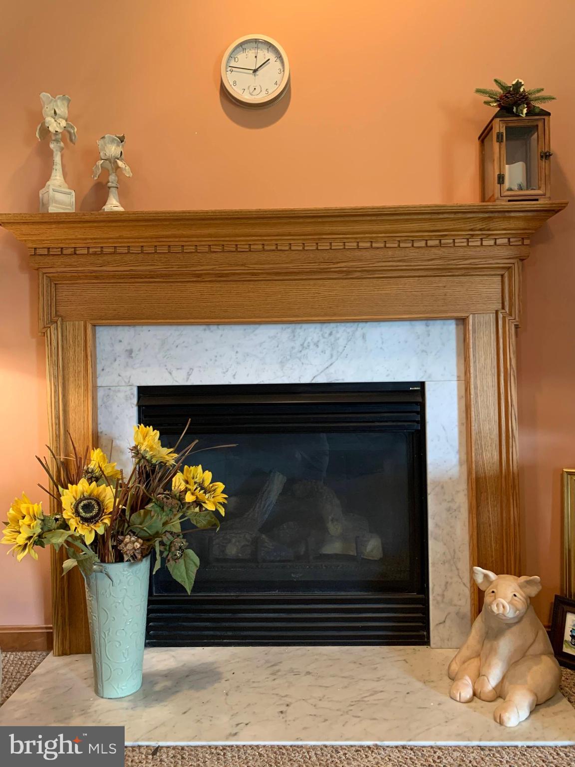 11522 Holly Road Ridgely, MD 21660 - Photo 6 of 40 Gas Fireplace