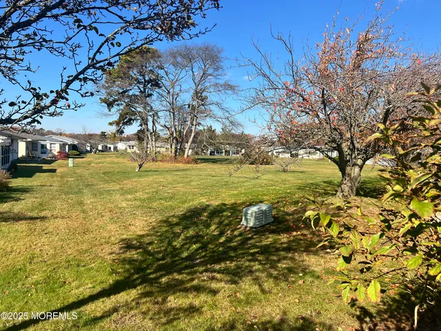 a view of a garden with a tree