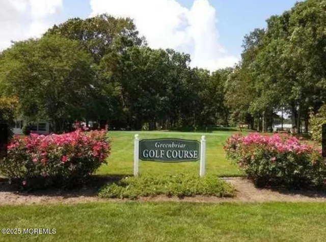 a view of a park with large trees