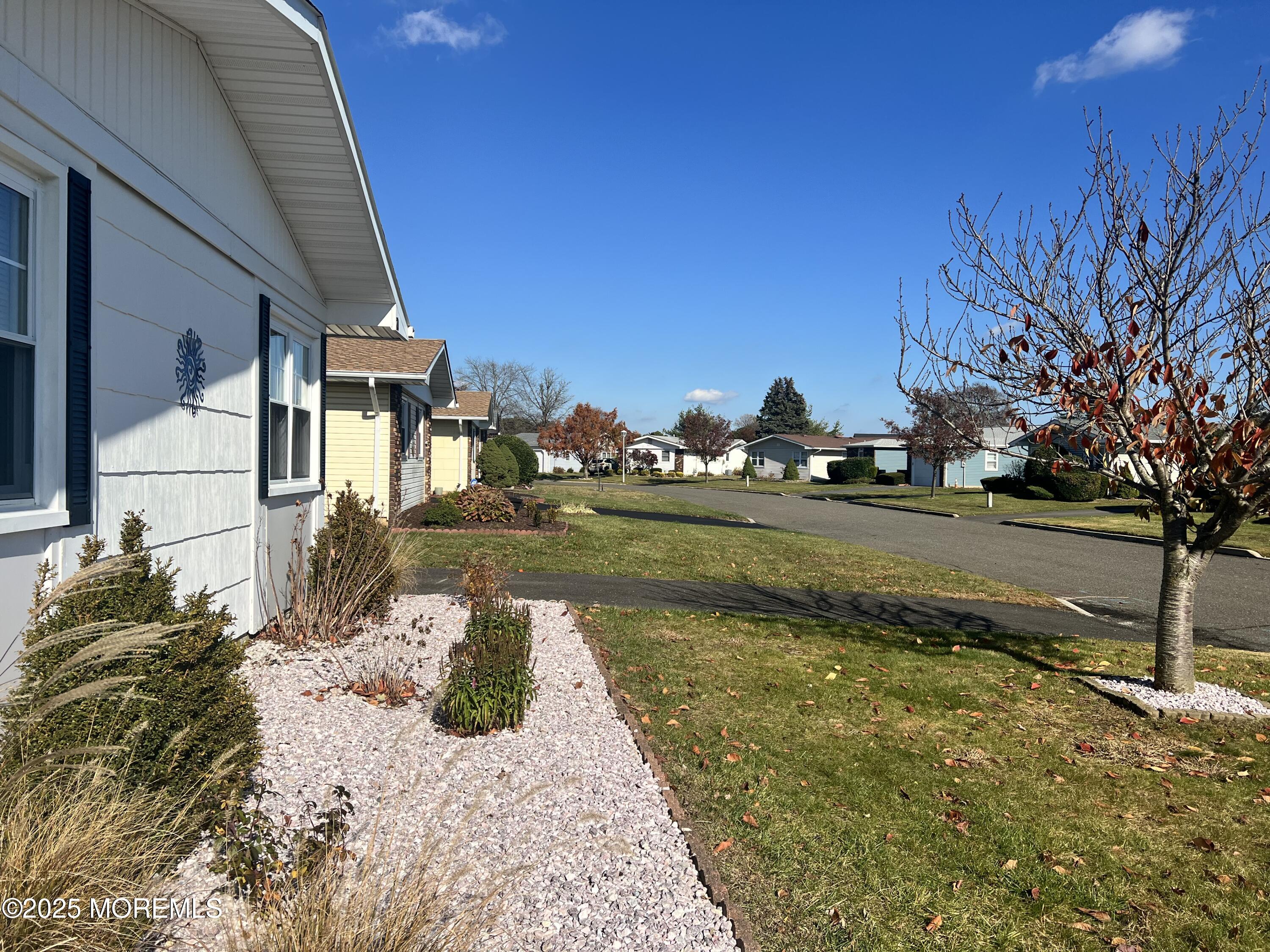20 Lamb Road Brick, NJ 08724 - Photo 5 of 31 a view of yard with green space