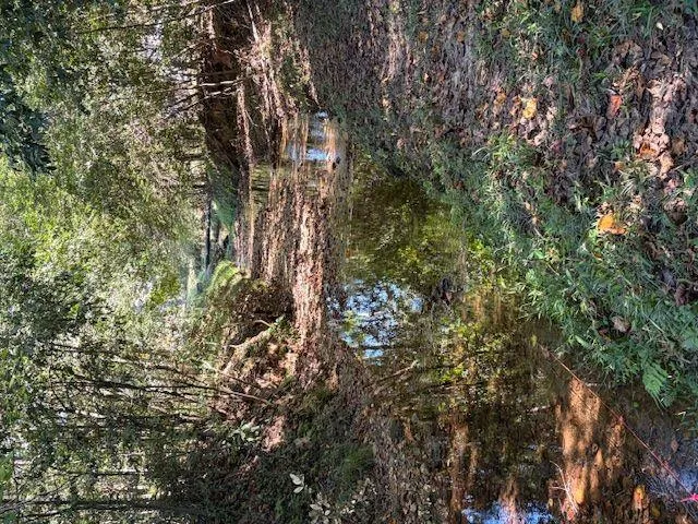 a map view of location