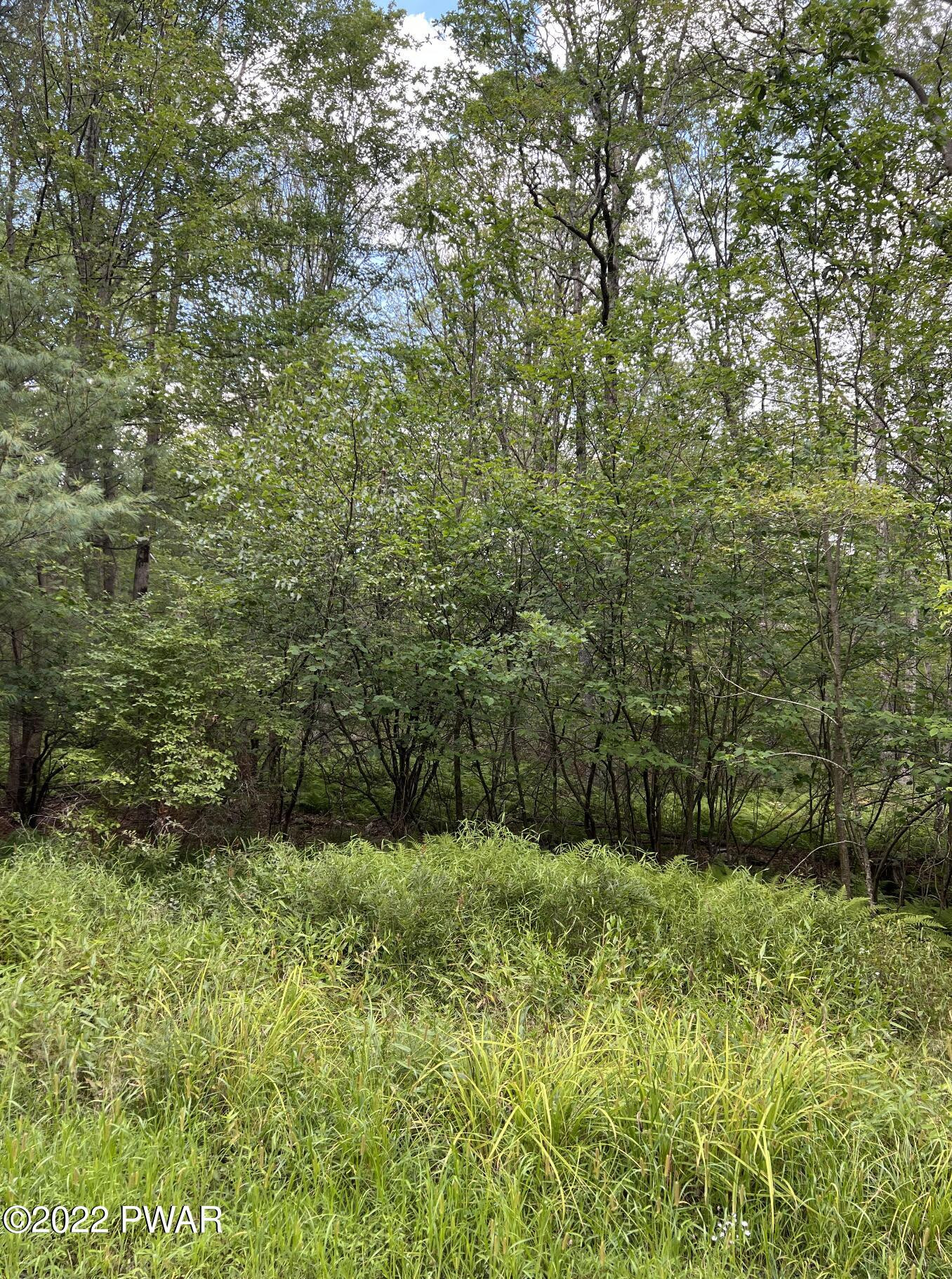 Lot 4 Fox Rdg Pk Drive Hawley, PA 18428 - Photo 6 of 7