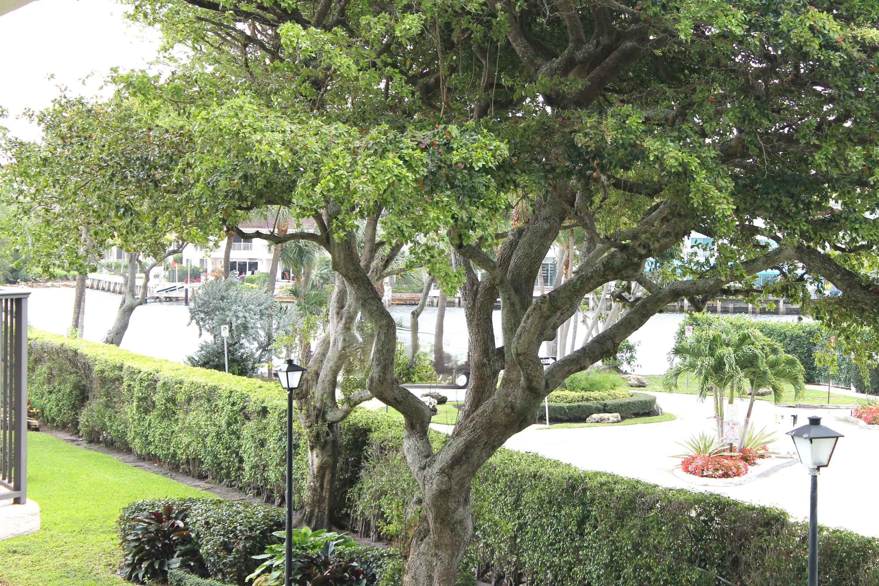 859 Jeffery Street, Unit 311 Boca Raton, FL 33487 - Photo 19 of 32 a view of backyard with green space