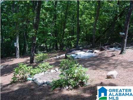 200 Laurel Springs Road Anniston, AL 36207 - Photo 25 of 26