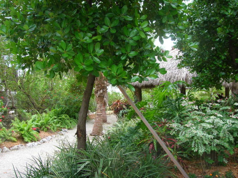 Lot 2 Maracaibo Road Summerland Key, FL 33042 - Photo 1 of 6 Lot 1