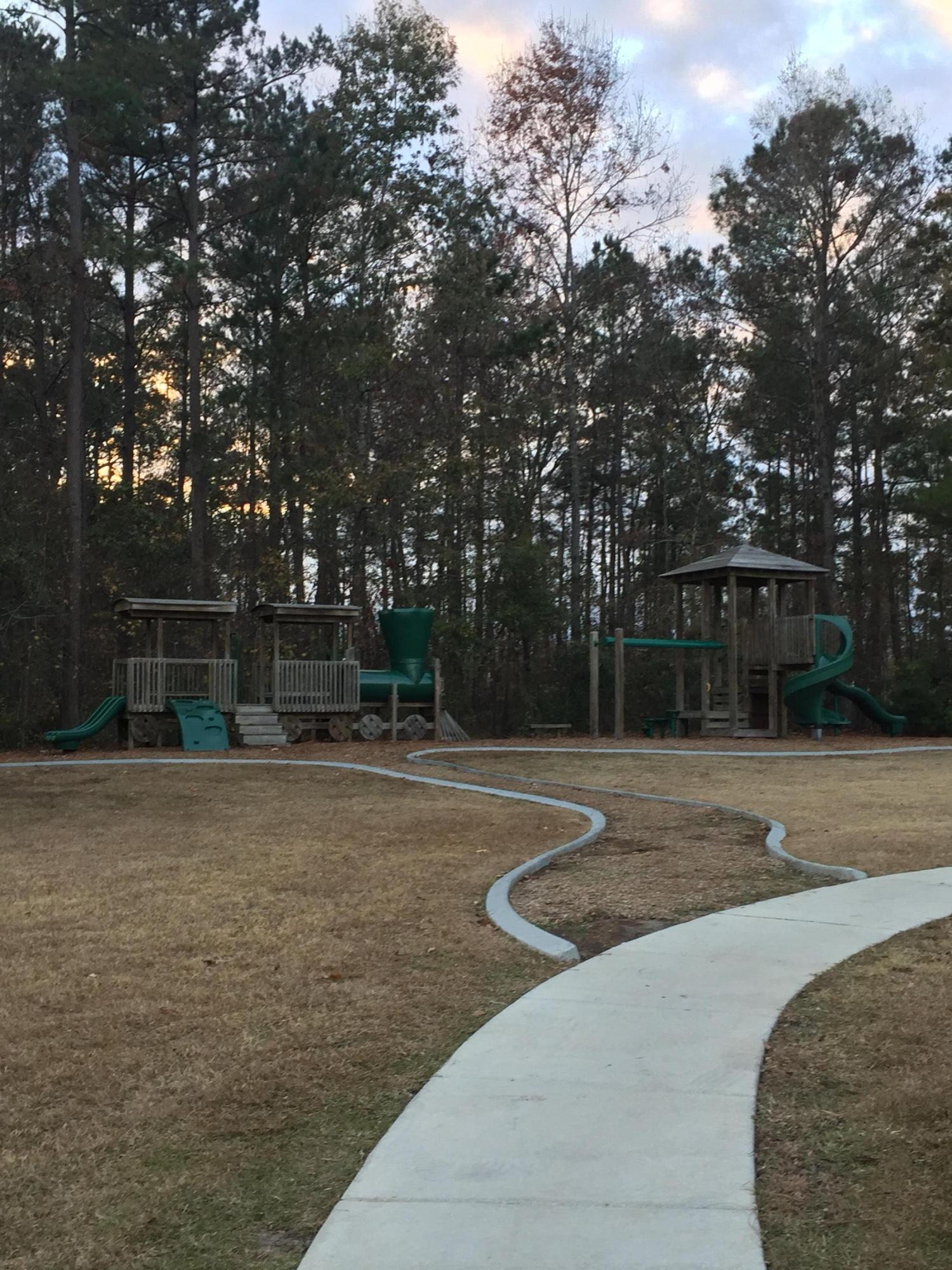 376 Flyway Road Goose Creek, SC 29445 - Photo 23 of 26 IMG_4947