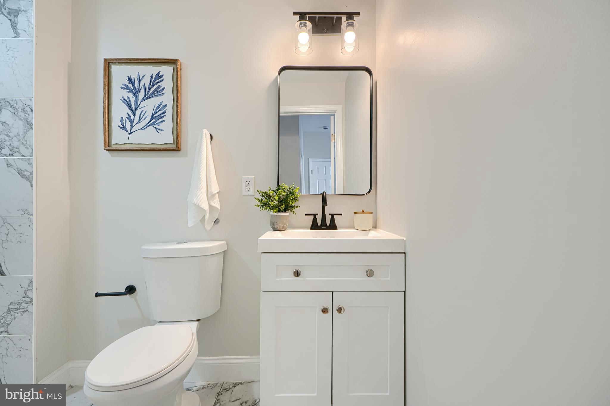 2126 Oakland Road Baltimore, MD 21220 - Photo 38 of 53 a bathroom with a toilet sink and mirror