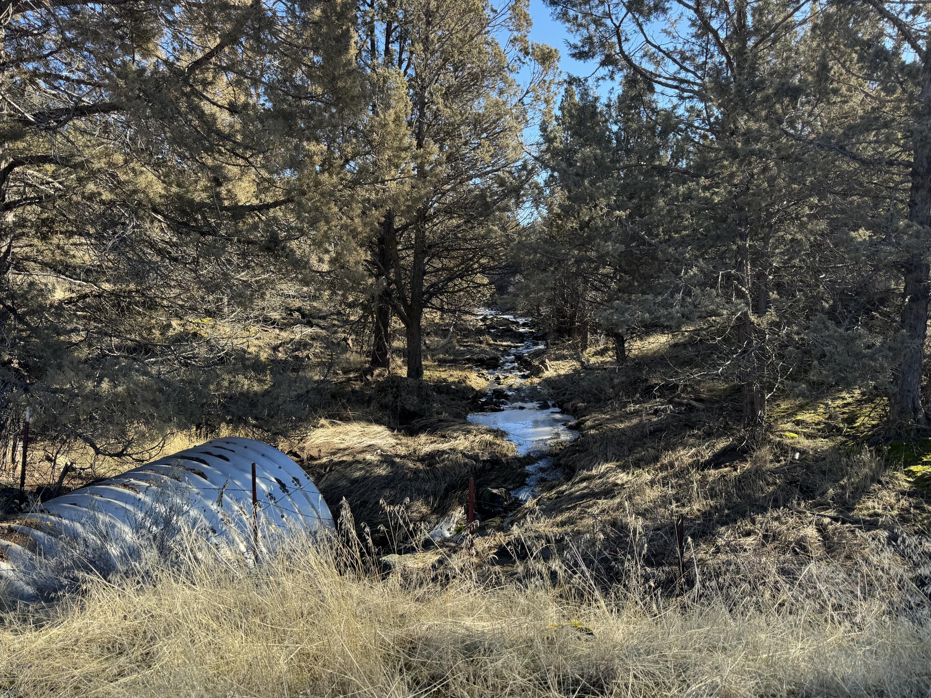 Crystal Springs Road Klamath Falls, OR 97603 - Photo 1 of 1 IMG_0133