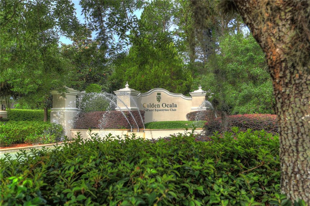 0 Northwest 31st Lane Road Ocala, FL 34482 - Photo 1 of 1 Gallery Image 1