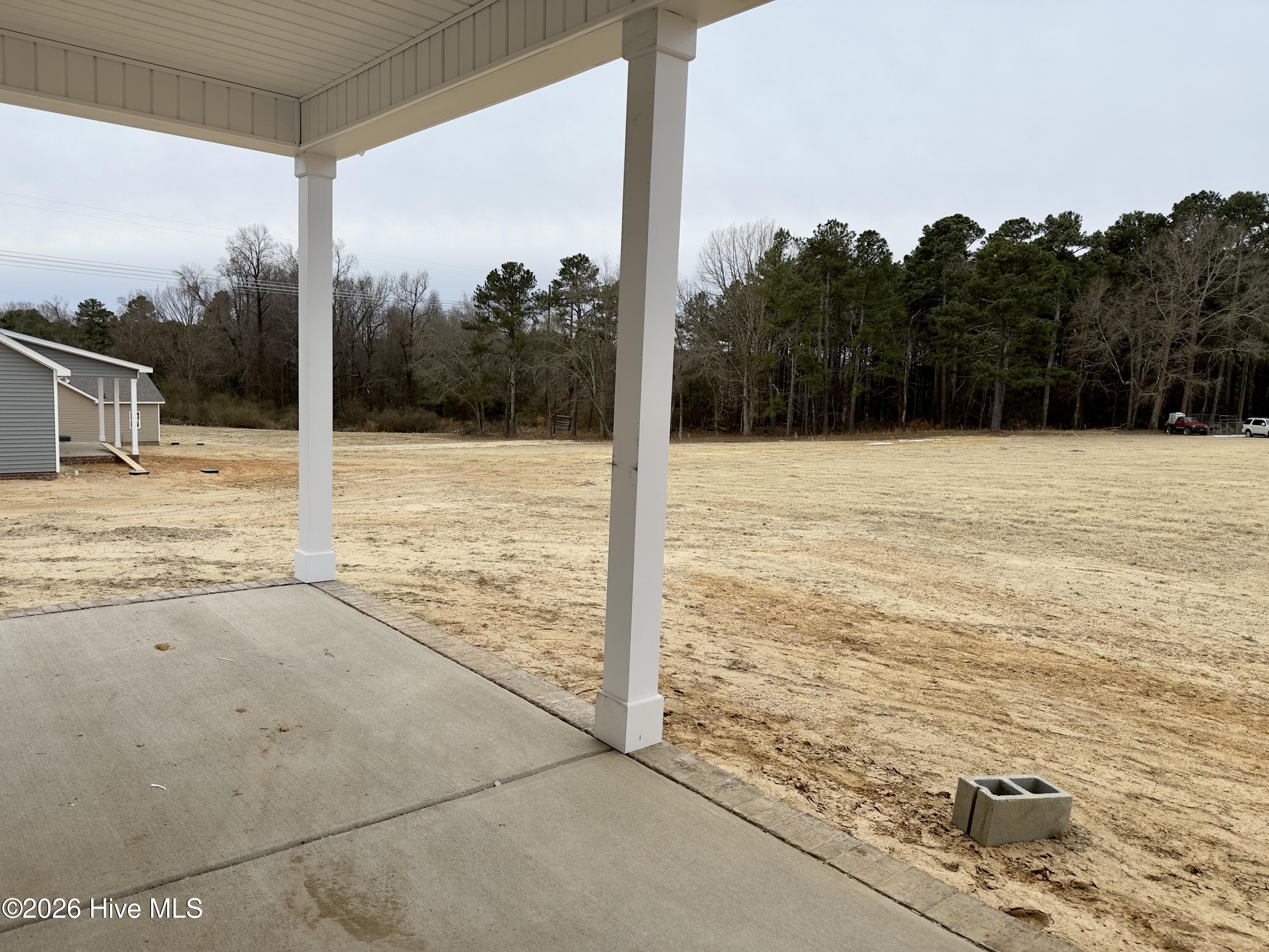 110 Kindletree Lane Carthage, NC 28327 - Photo 22 of 26 IMG_7879