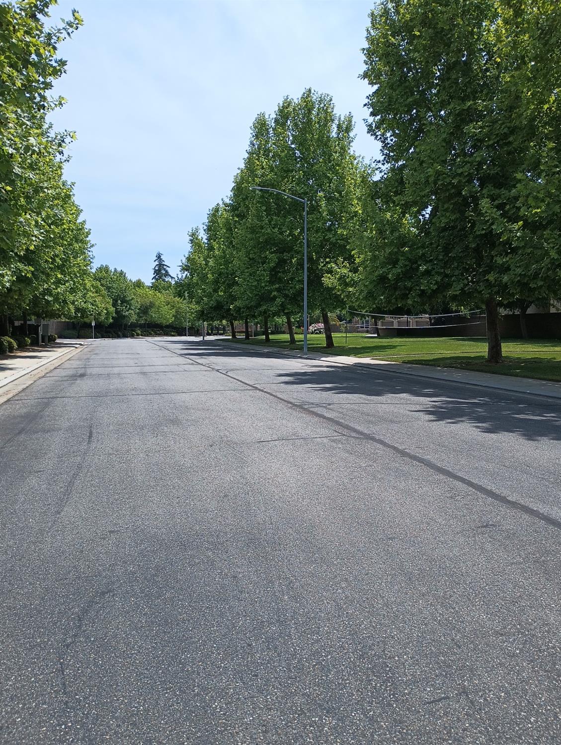 2979 Duncan Avenue Clovis, CA 93611 - Photo 26 of 27 a view of a house with a big yard and palm trees