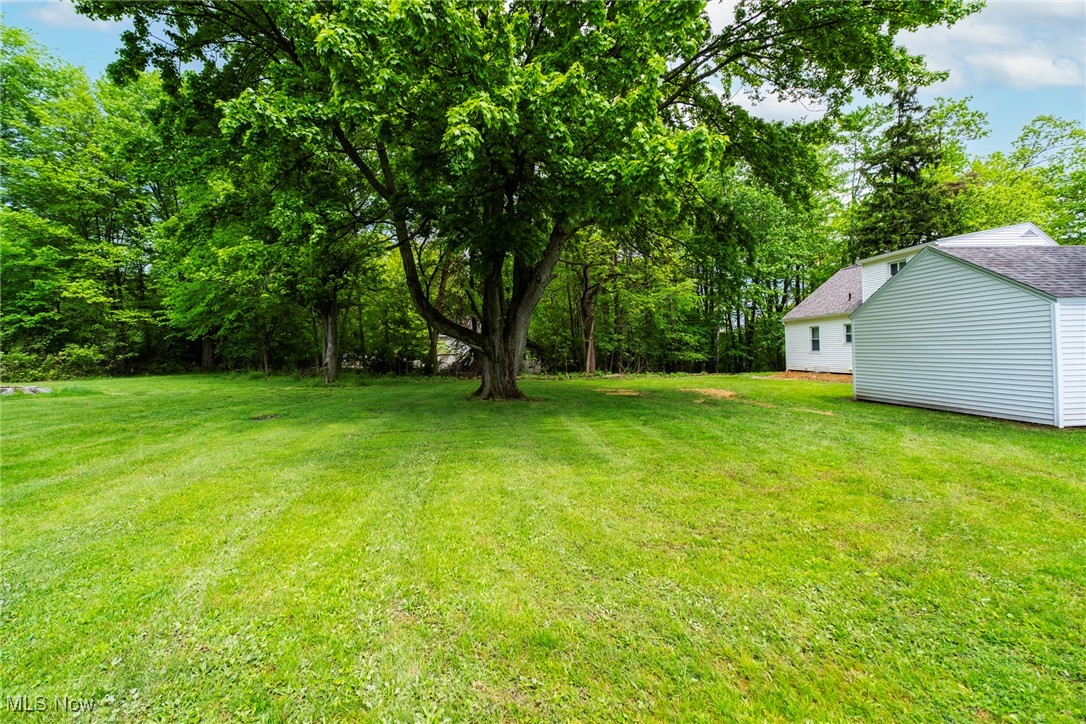 708 South Meridian Road Youngstown, OH 44515 - Photo 10 of 43 View of green lawn